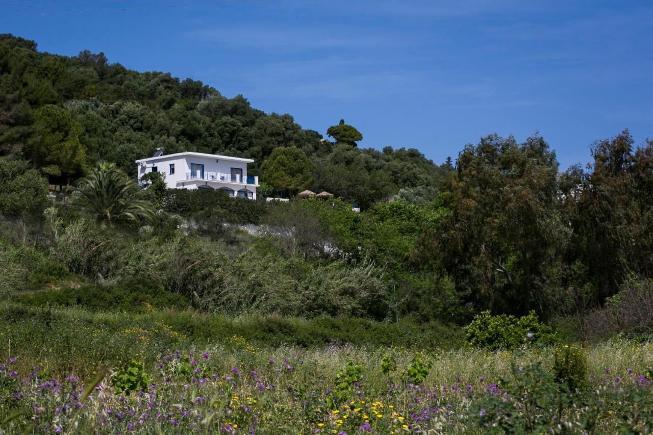 Villa Afrodite Мусата Экстерьер фото